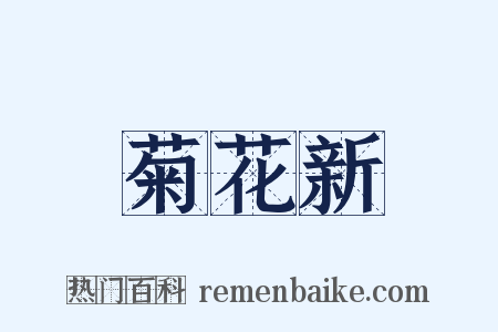 菊花新是什么意思的图片